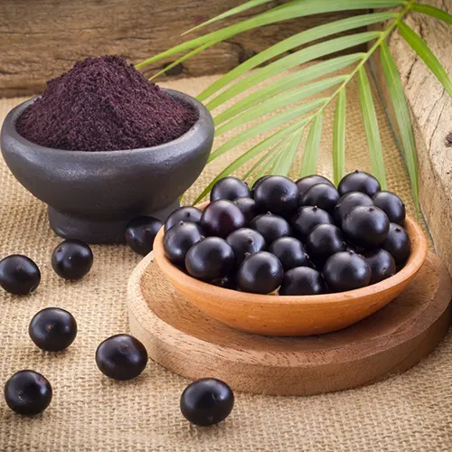 biorenov oils acai