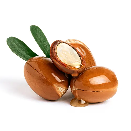 biorenov oils argan