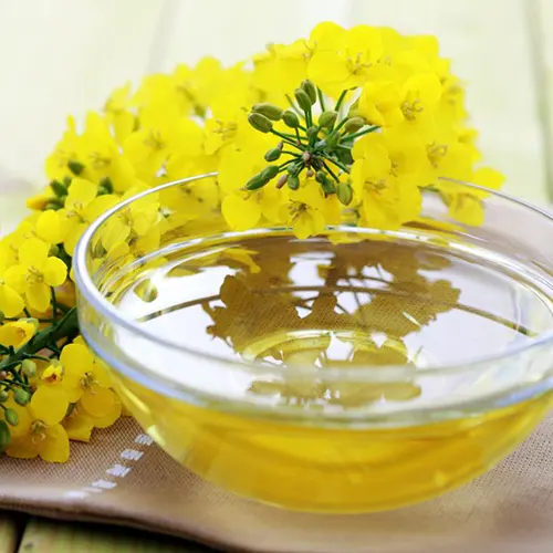 biorenov oils canola